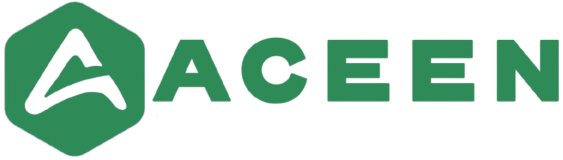 ACEEN: Salesforce Consulting, AI & Enterprise App Development