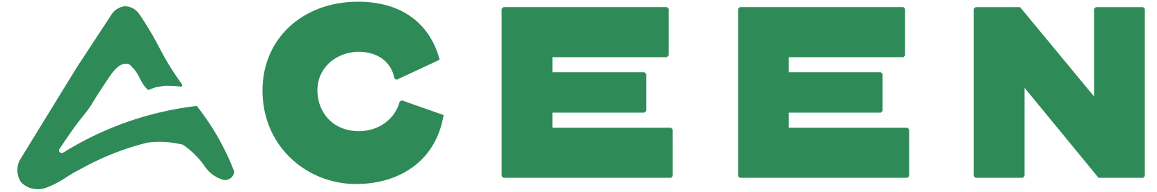 ACEEN: Salesforce Consulting, AI, Enterprise & Cyber Security