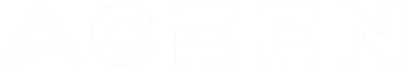 ACEEN: Salesforce Consulting, AI, Enterprise & Cyber Security